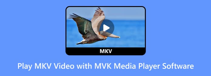 Free MKV Video Players