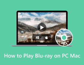 How to Play on PC Mac