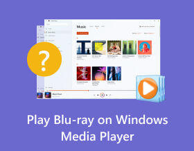 Play Blu-ray on Windows Media Player