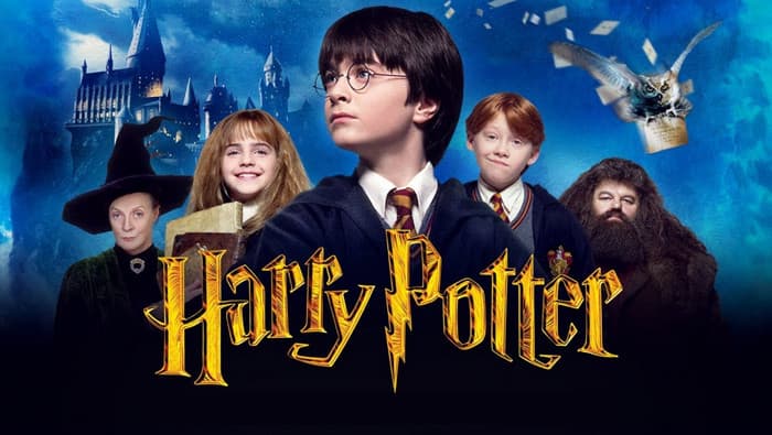 What is Harry Potter Movie