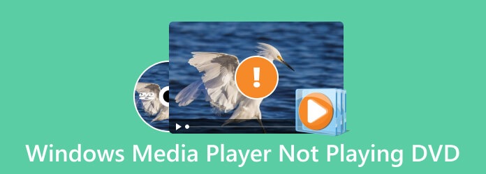 Windows Media Player Not Playing DVD