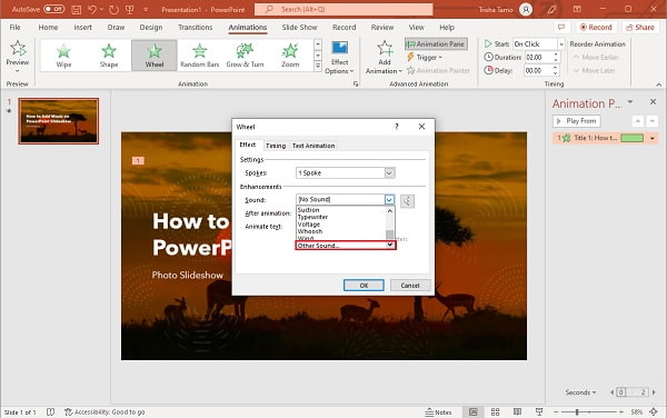 PowerPoint Other Sounds