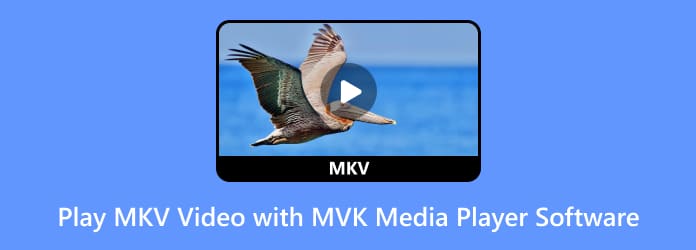 Gratis MKV-videospelers