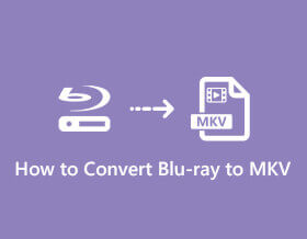 Blu-ray naar MKV Converter