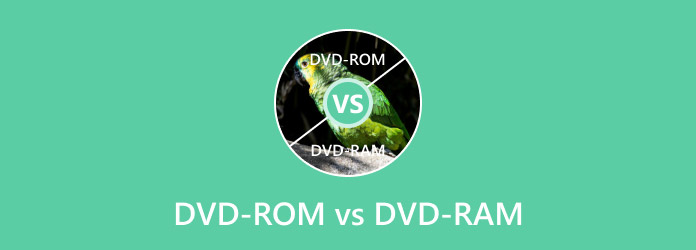 DVD-ROM vs. DVD-RAM