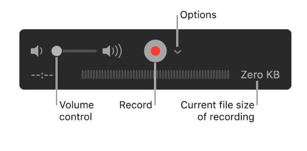 Videooptager Quicktime