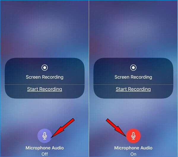 Turn on Screen Recording Microphone