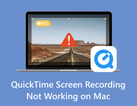 QuickTime funktioniert nicht auf dem Mac