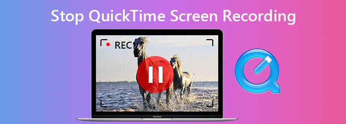 Interrompi la registrazione dello schermo Quicktime