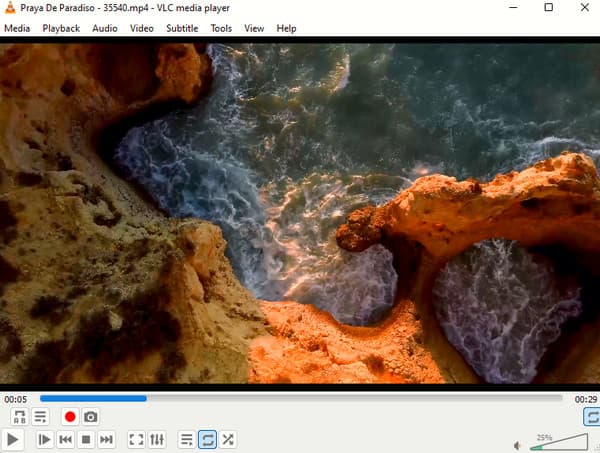 VLC Media Player