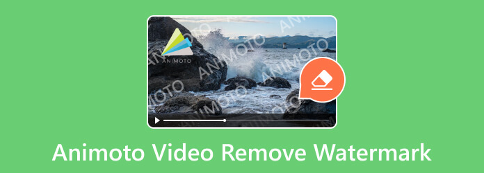 Animoto Video Remove Watermark