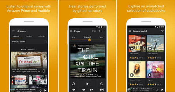 Audible Audiobook player