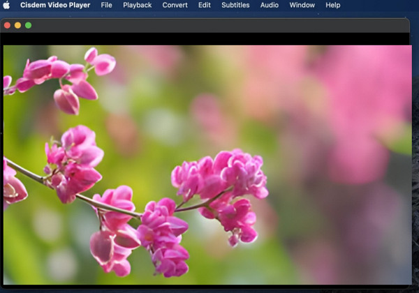 Cisdem Video Player Mac