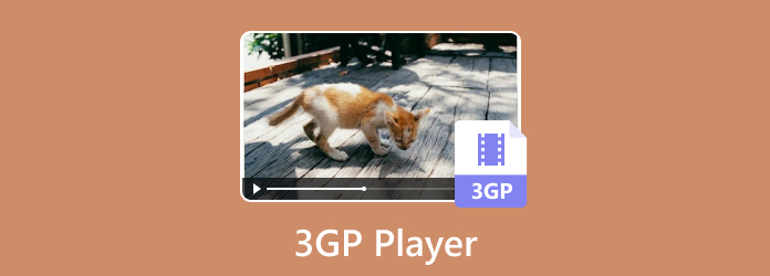 Miglior recensione gratuita del lettore 3GP