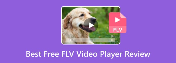 Revisión del mejor reproductor de video FLV gratuito