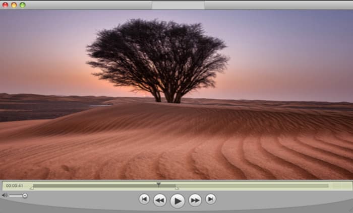 Lettore GIF QuickTime Player