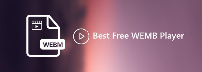 Los mejores jugadores de 9 Free WebM