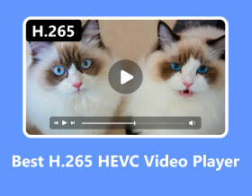 Beste H.265 / HEVC-videospeler