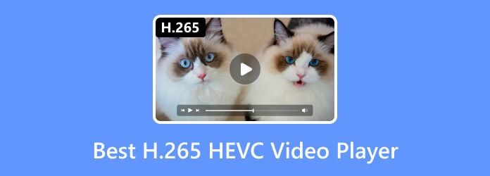 Meilleur lecteur vidéo H.265 HEVC