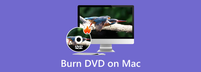 Запись фильмов на DVD на Mac