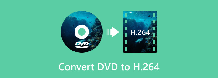 將 DVD 轉換為 H.264