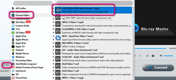 Profile Video Format H264