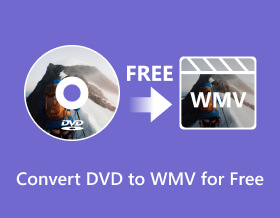 Convert DVD to WMV
