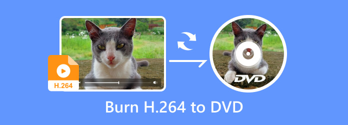 H264'ü DVD'ye dönüştürün