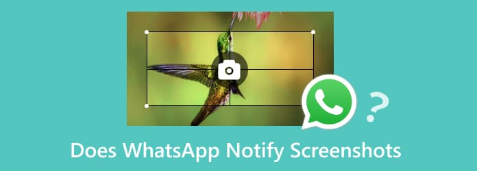 A WhatsApp értesíti a képernyőképeket