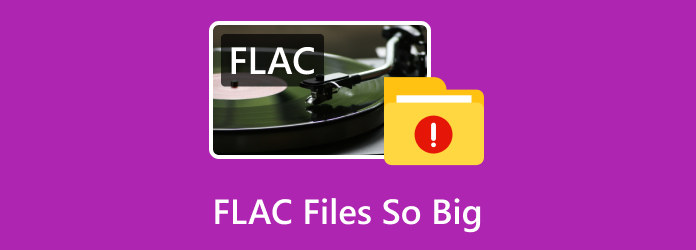 FLAC ファイルが非常に大きい