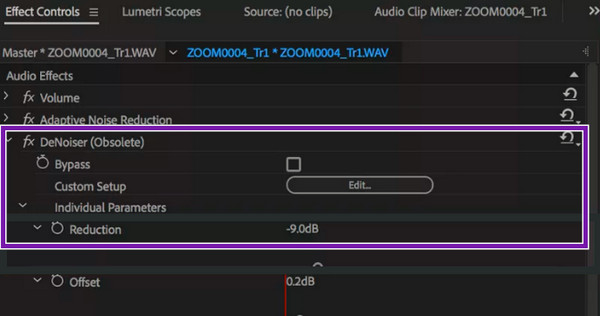 Modification de l'effet Premiere Denoiser