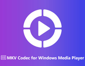 Windows Media Player用のMKVコーデック