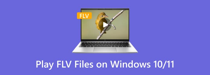 carrete comer Marco de referencia Reproductor de video FLV: cómo abrir y reproducir archivos FLV en Windows 10