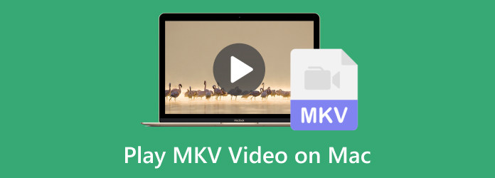 Odtwórz wideo MKV na komputerze Mac
