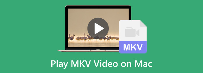 Afspil MKV-video på Mac