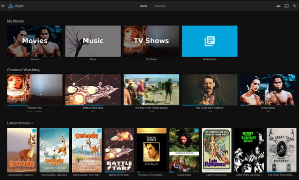 JellyFin gratis alternativ