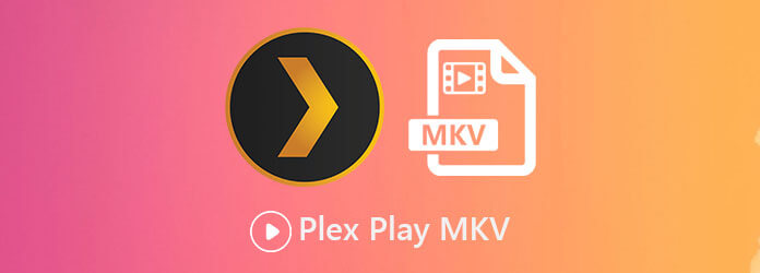 Plex 播放 MKV