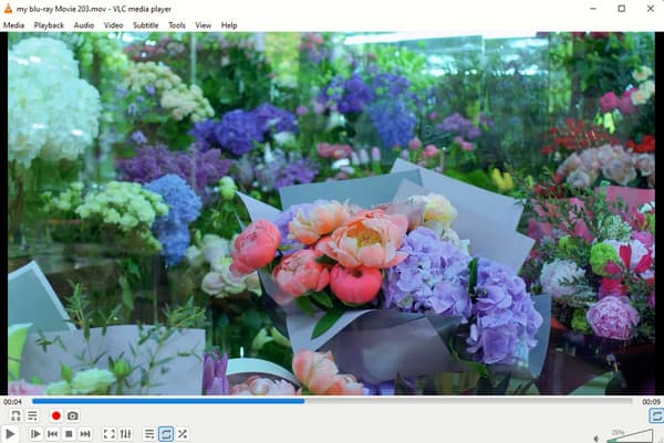 VLC QuickTime 代替 Windows