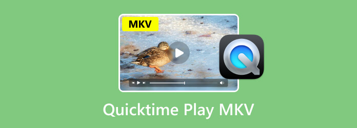 QuickTime播放MKV