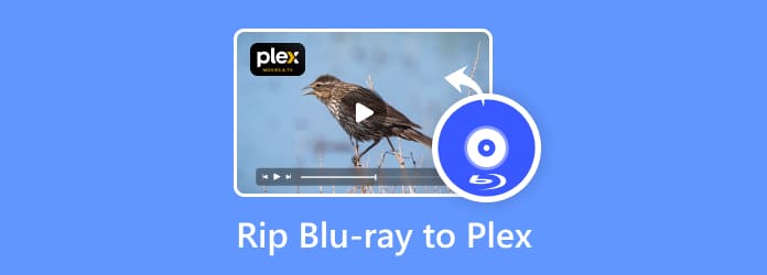 Копировать Blu-ray в Plex