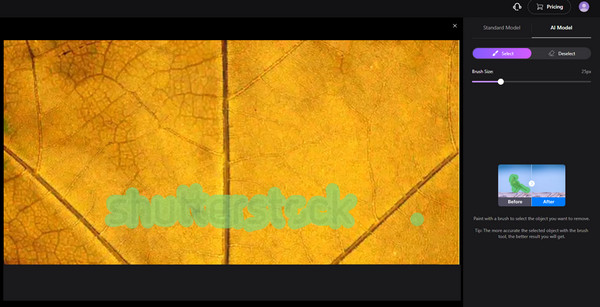 Removedor de mídia IO Shutterstock