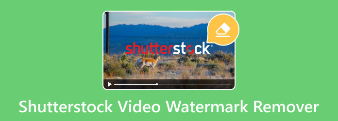 Eliminador de marcas de agua de vídeo de Shutterstock