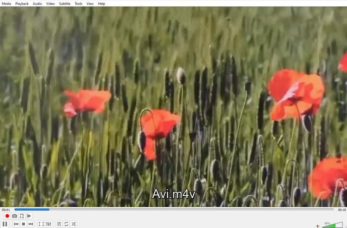 Lettore multimediale VLC