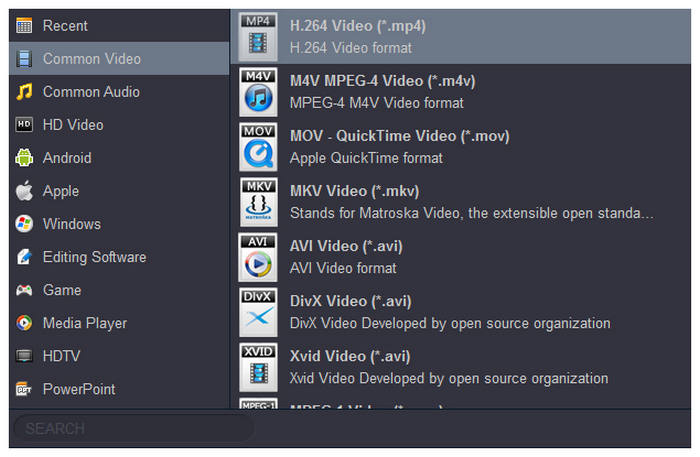 Acrok Video Converter Ultimate utdataformater