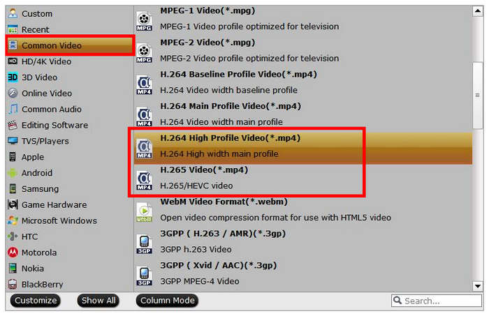 Dumbofab DVD Ripper Formátumok