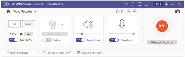 Custom Record Settings