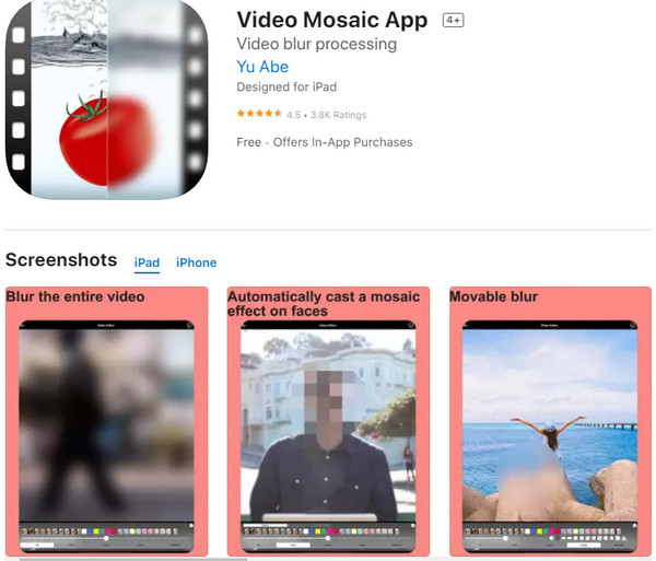Video Mozaika Rozostření Video