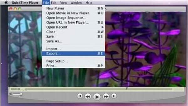 QuickTime-export