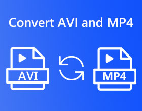 Konvertera AVI och MP4