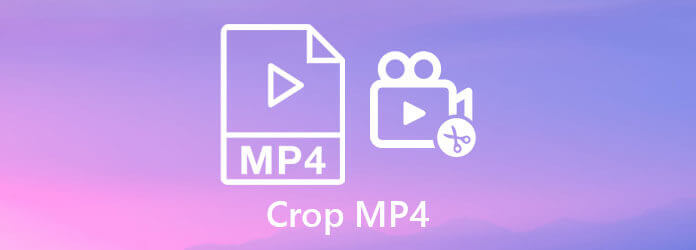 Περικοπή MP4